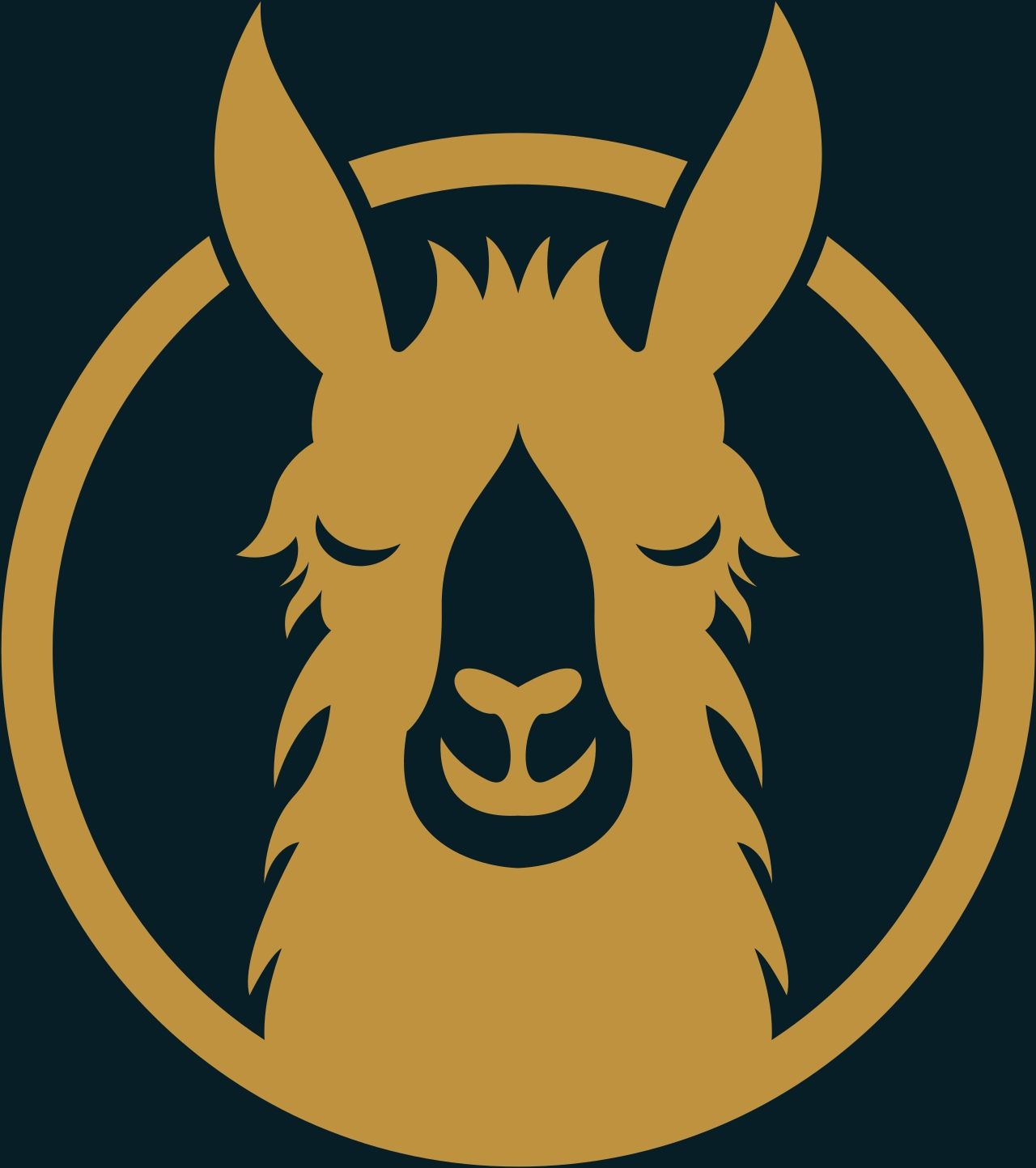 Helena Backcountry Llamas