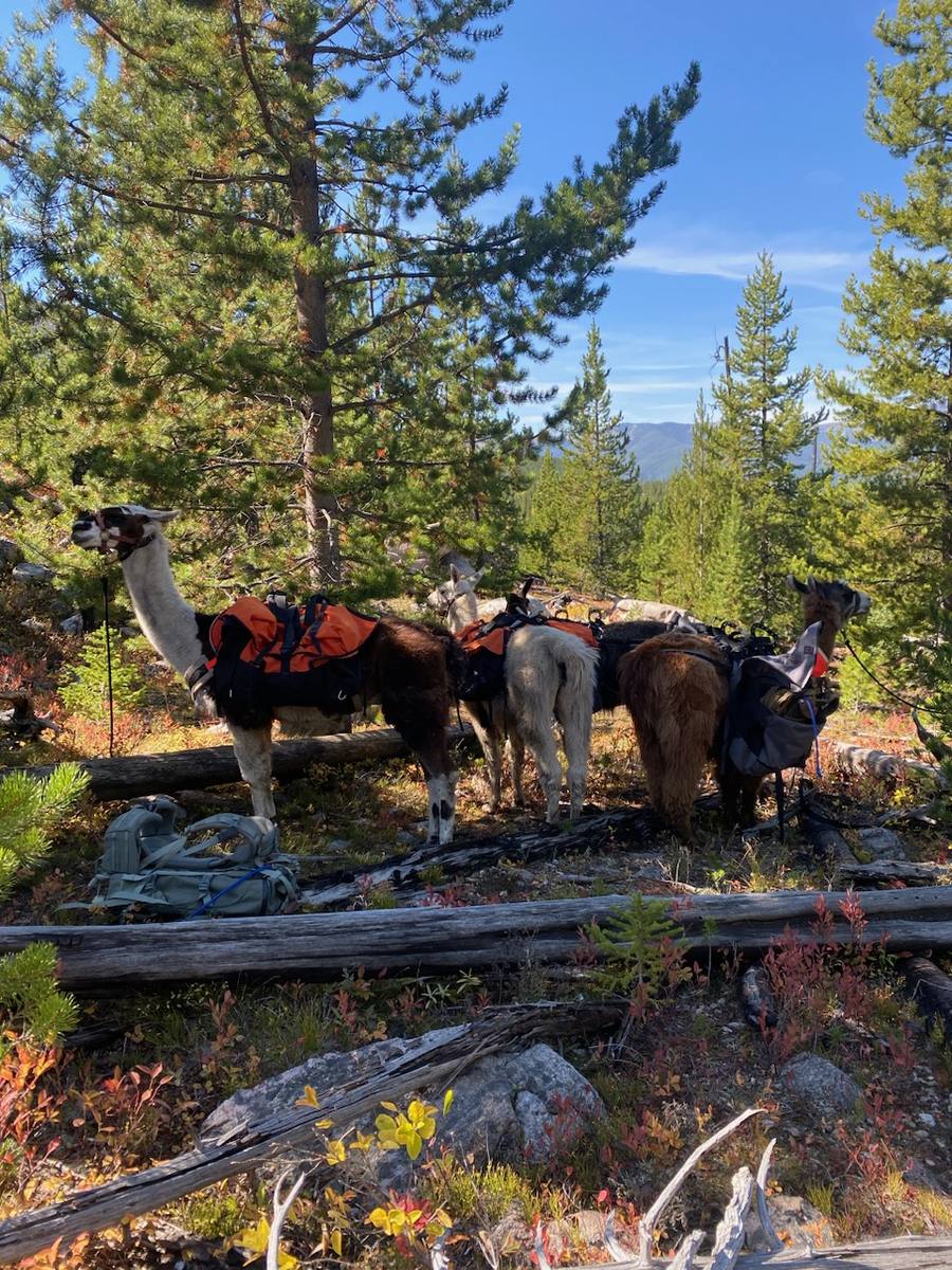 Loaded up and heading out