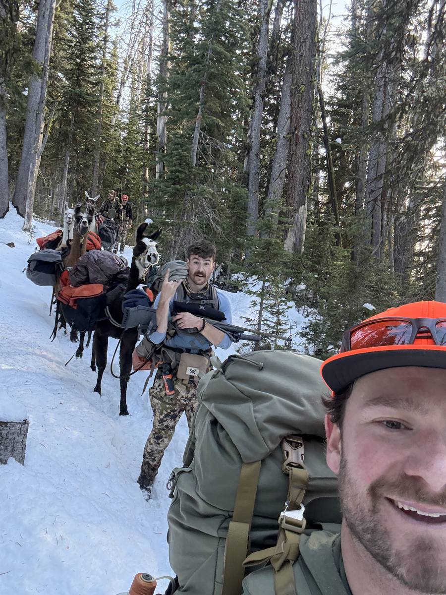 Backcountry llama trek