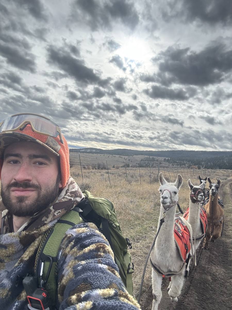 Trail camp with llamas