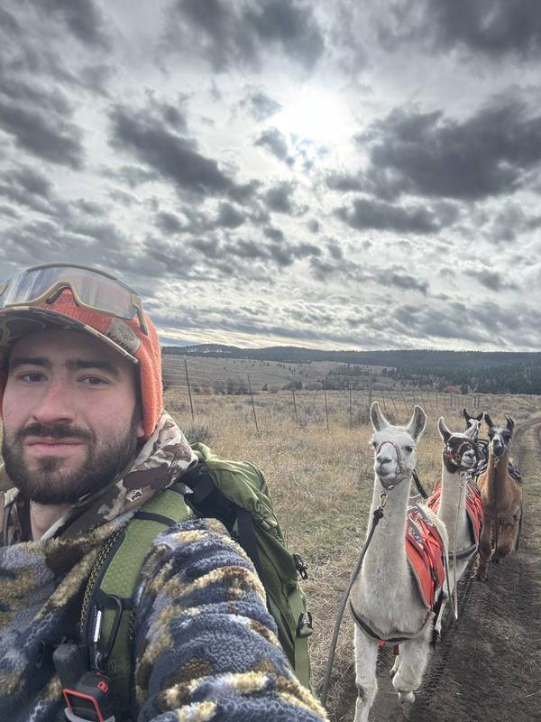 Trail camp with llamas