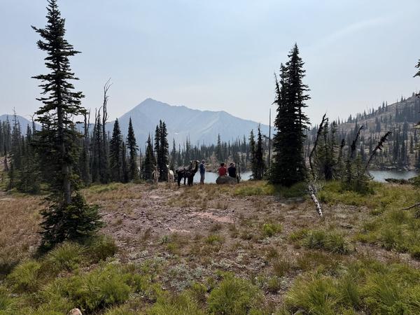 Taking in mountain views above the lake
