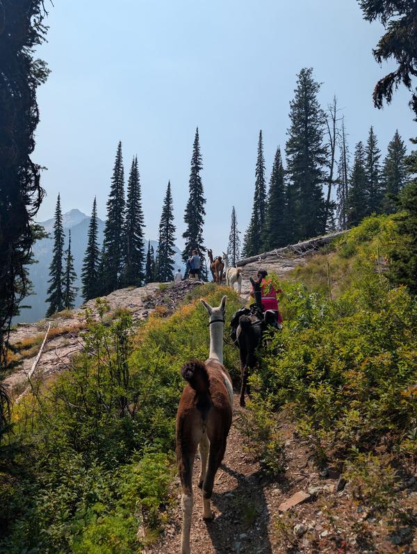 Pack string on a mountain trail