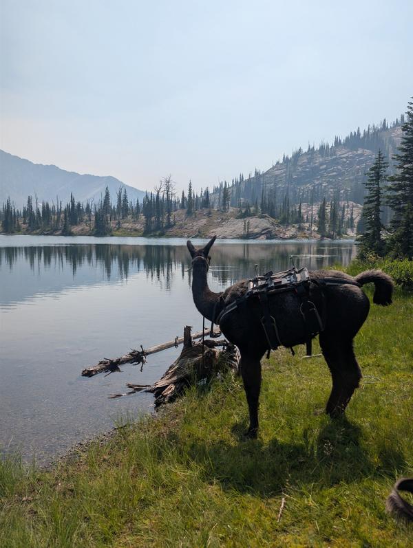 Quiet moment by the mountain lake