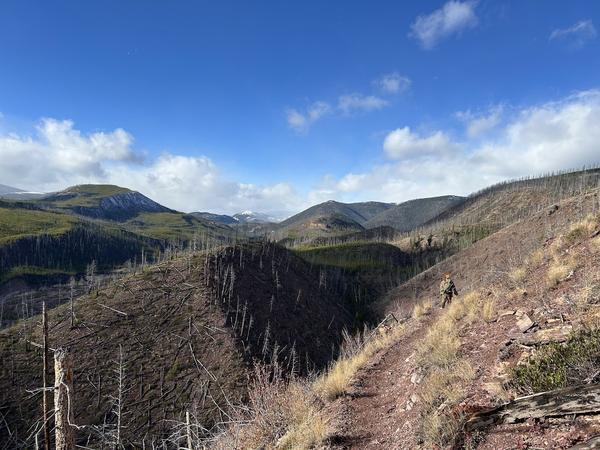 Big mountain views from the ridge