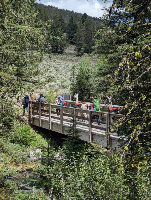 Crossing the footbridge with the pack string